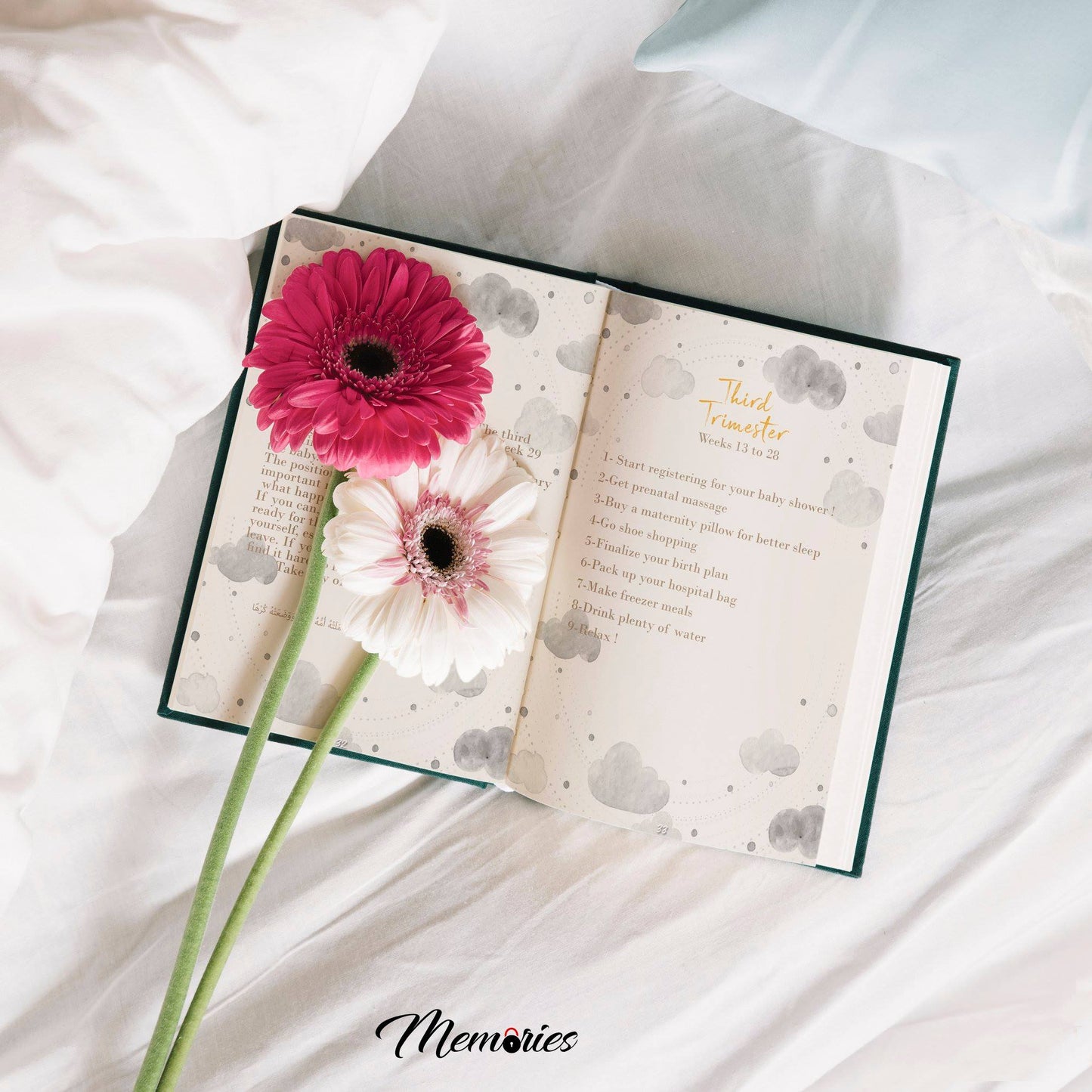pregnancy journal