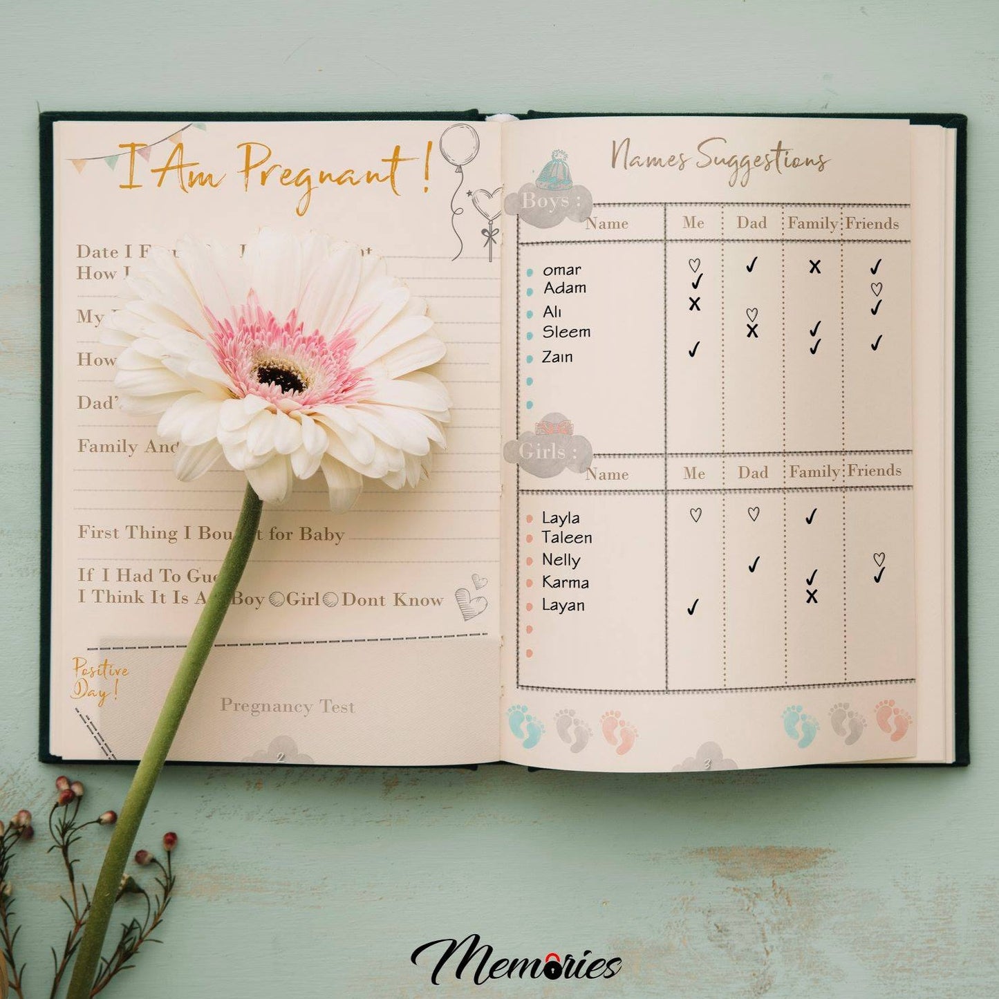 pregnancy journal