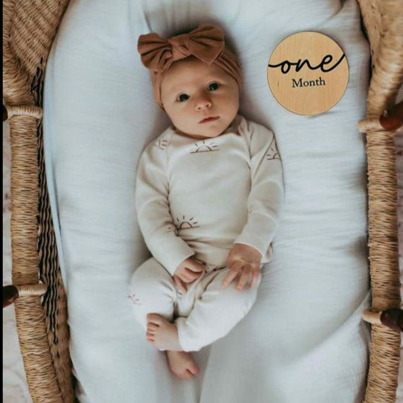 baby wooden milestone