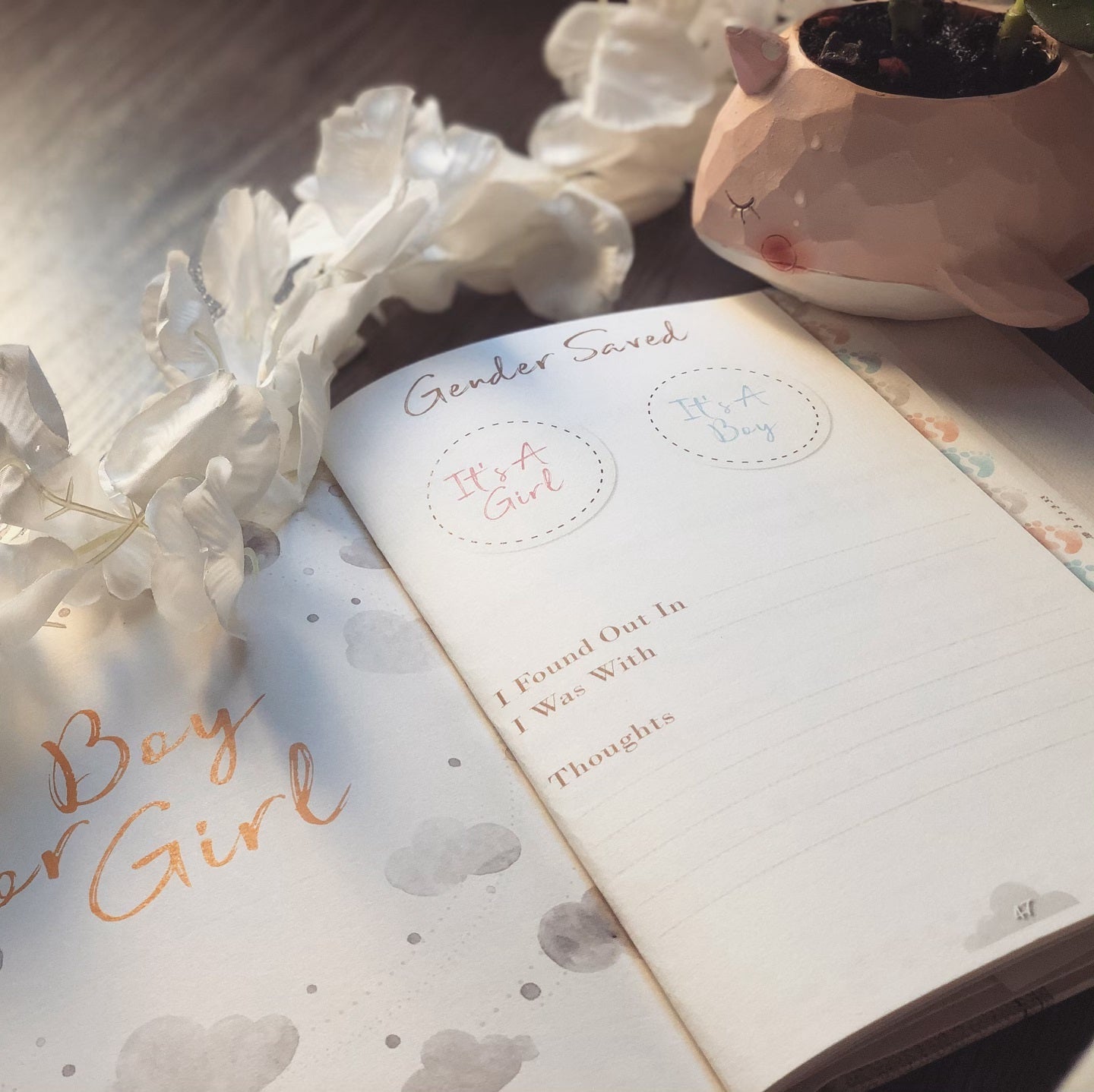 pregnancy journal